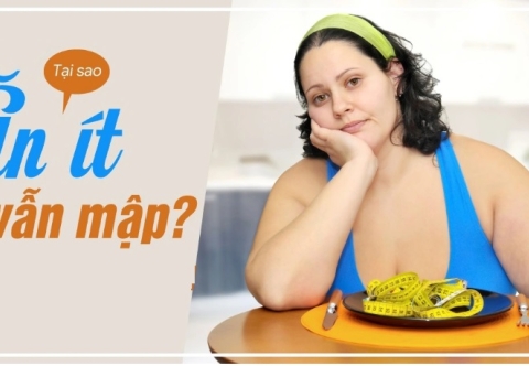 Vì sao ăn ít mà vẫn béo